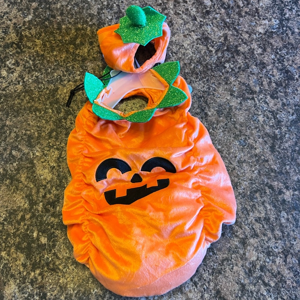 Pet costume